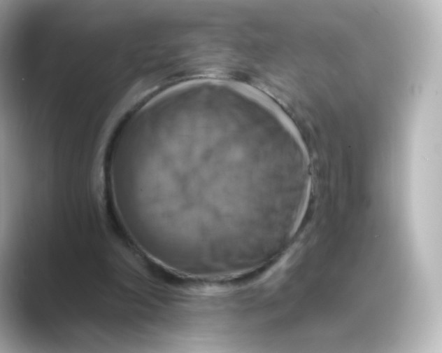 X0000088750198200706212121