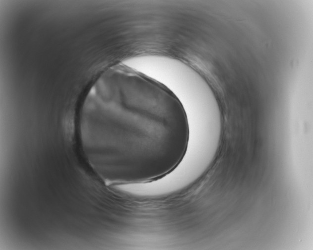 X0000088750202200706212121