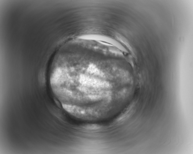 X0000088750203200706212120