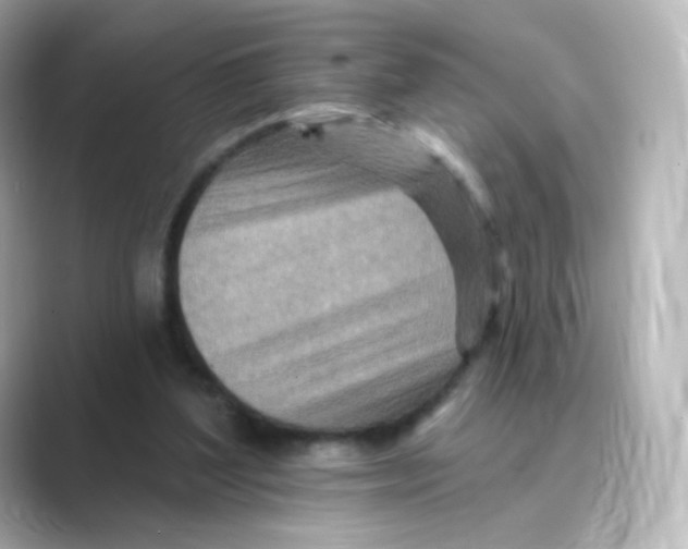 X0000088750204200706212120