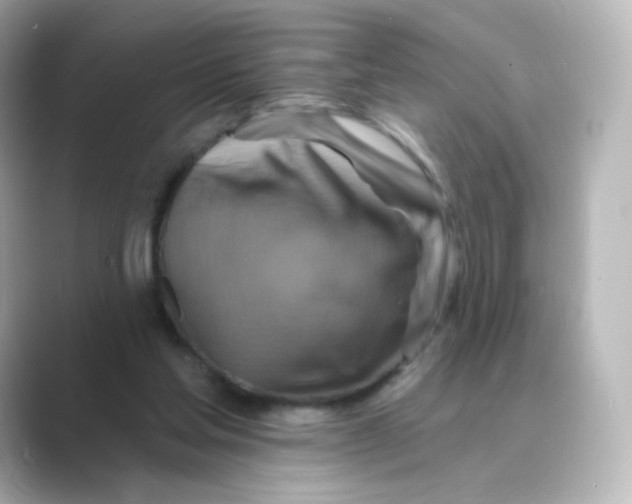 X0000088750205200706212120