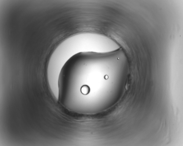 X0000088750207200706212120