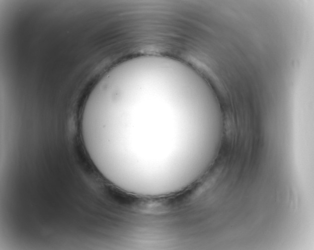 X0000088750208200706212120