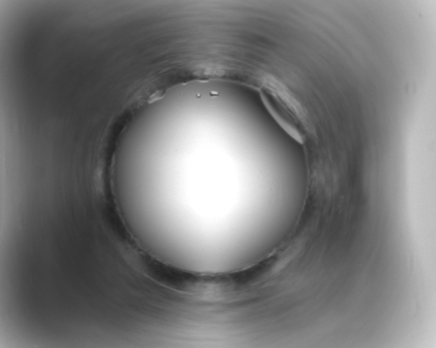 X0000088750209200706212120