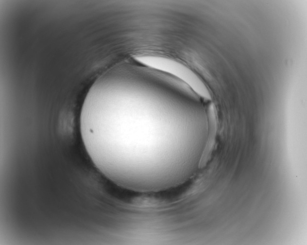 X0000088750211200706212120