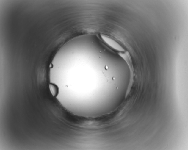 X0000088750212200706212120