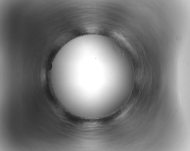 X0000088750213200706212120