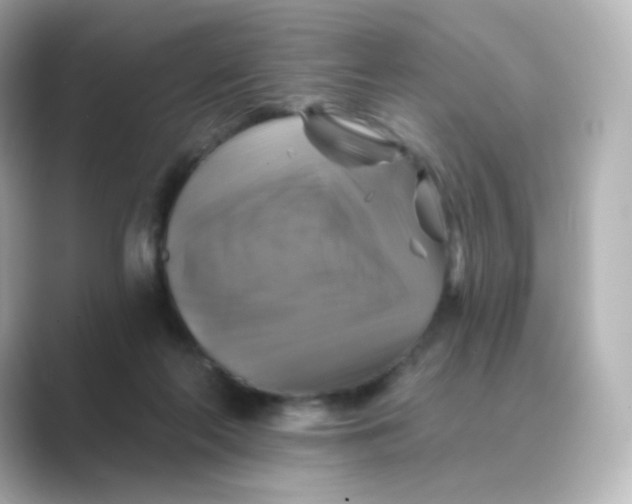 X0000088750214200706212120