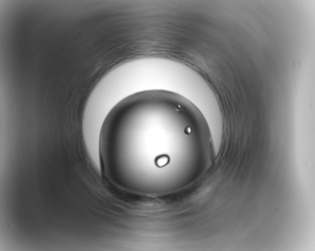 X0000088750215200706212120