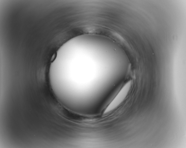 X0000088750217200706212120