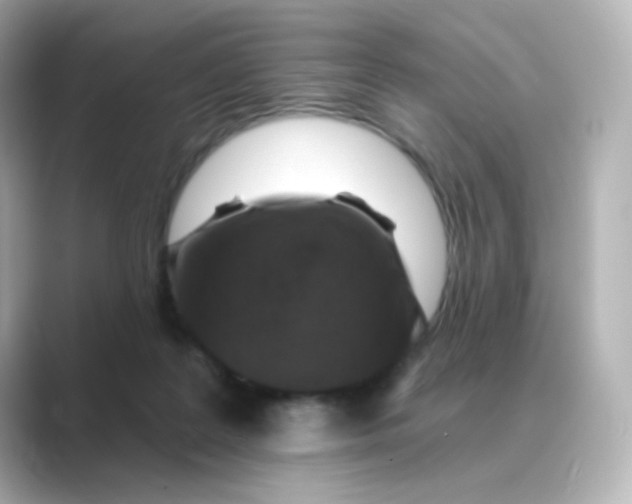 X0000088750219200706212120