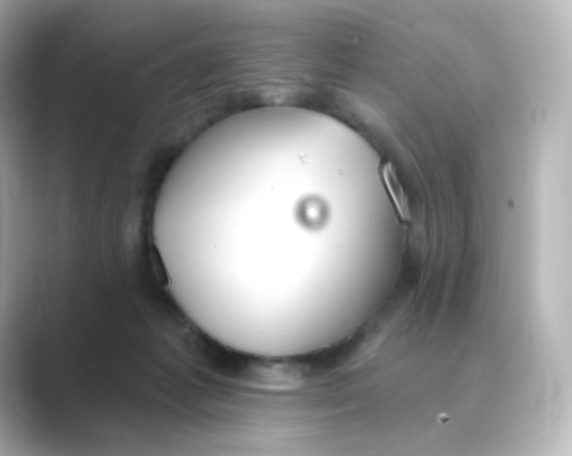 X0000088750221200706212120