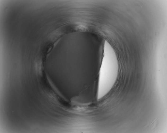 X0000088750223200706212120