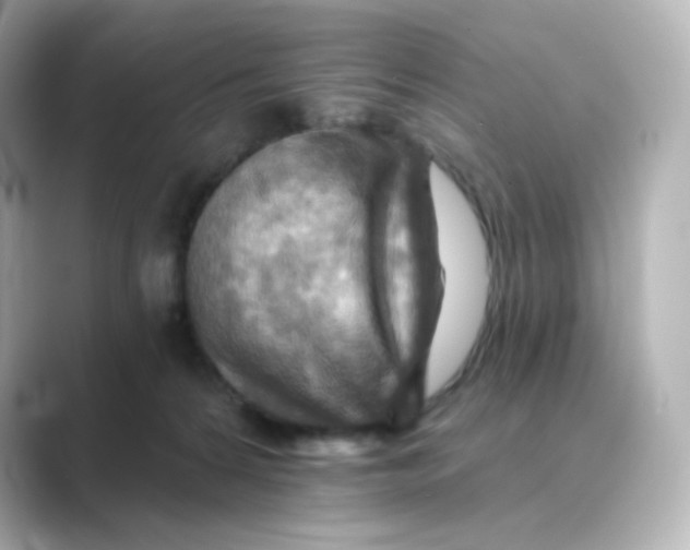 X0000088750224200706212120