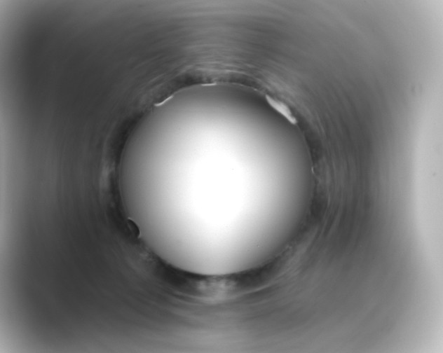 X0000088750225200706212120