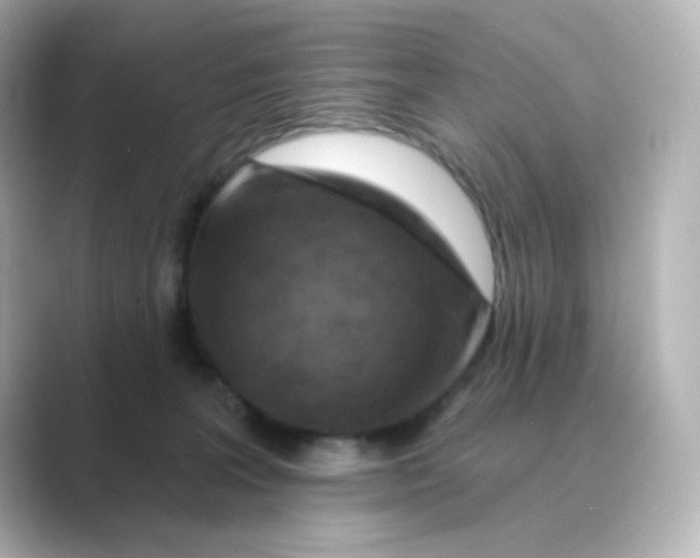 X0000088750227200706212120