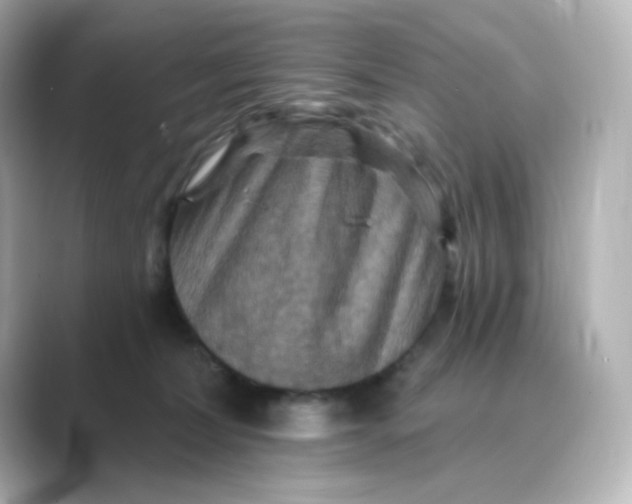 X0000088750228200706212120