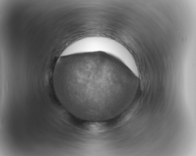 X0000088750229200706212120