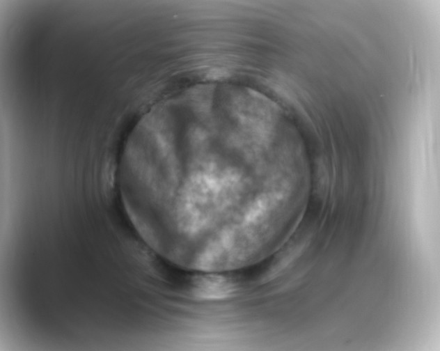 X0000088750230200706212120