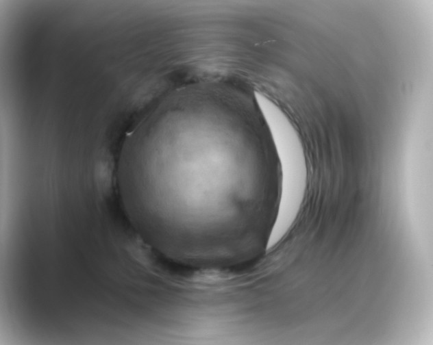 X0000088750231200706212120