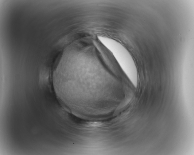 X0000088750233200706212120