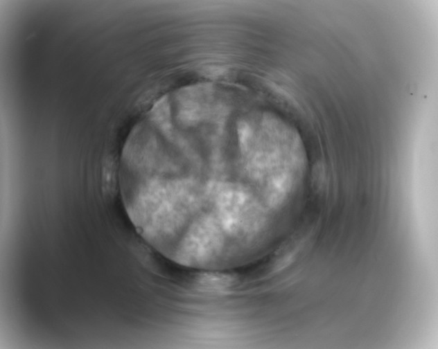 X0000088750234200706212120