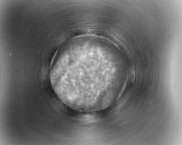 X0000088750236200706212120