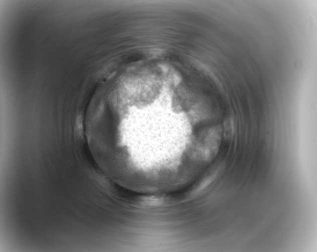 X0000088750238200706212120