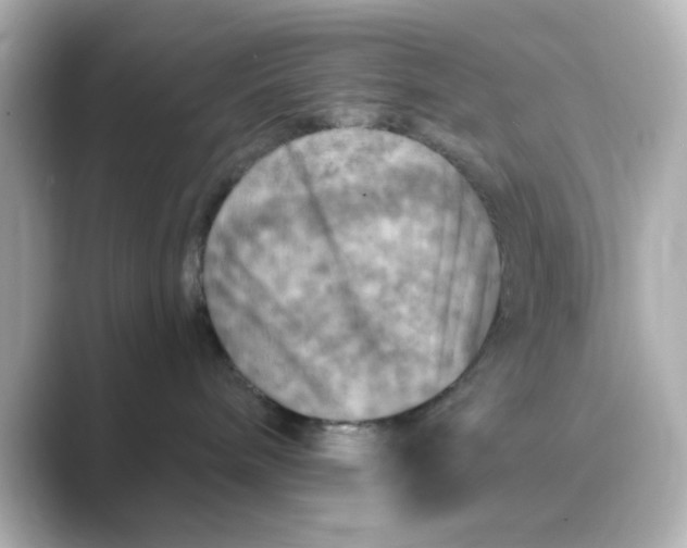 X0000088750240200706212120