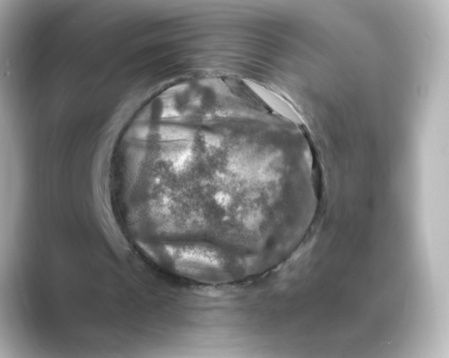 X0000088750241200706212120