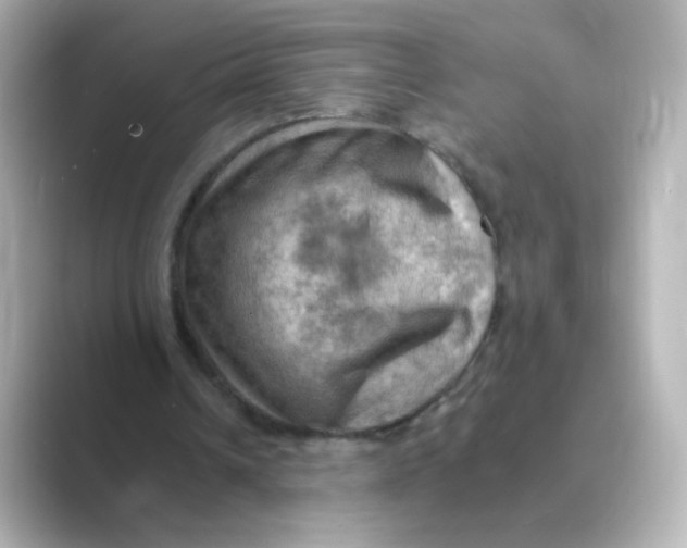 X0000088750242200706212120