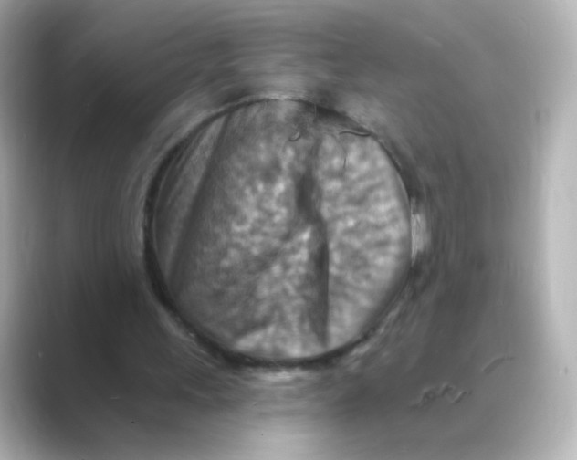 X0000088750243200706212120