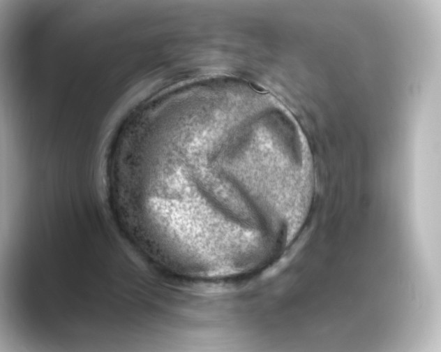 X0000088750245200706212120