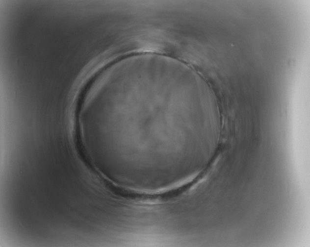 X0000088750247200706212120