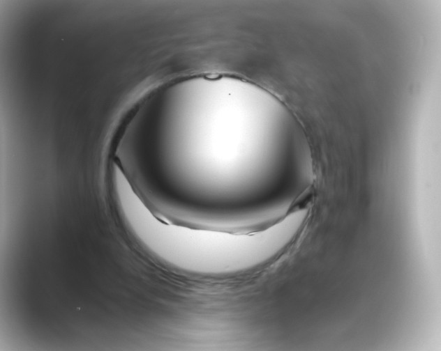 X0000088750248200706212120