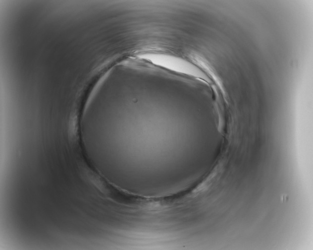 X0000088750249200706212120