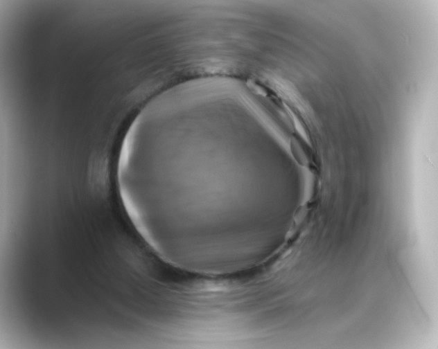 X0000088750250200706212120