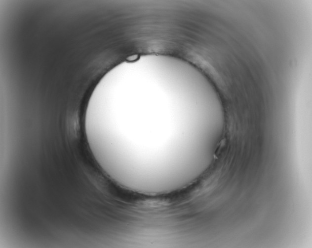 X0000088750251200706212120