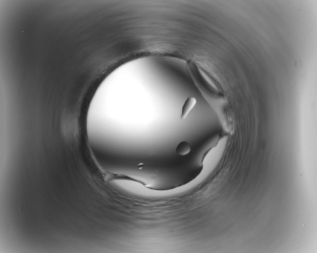 X0000088750252200706212120