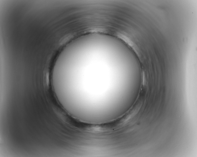 X0000088750253200706212120