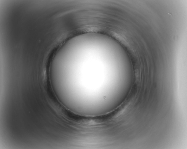 X0000088750254200706212120