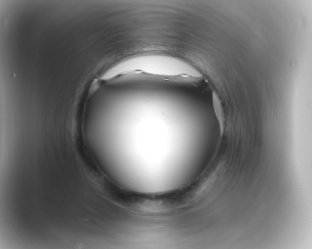 X0000088750256200706212120