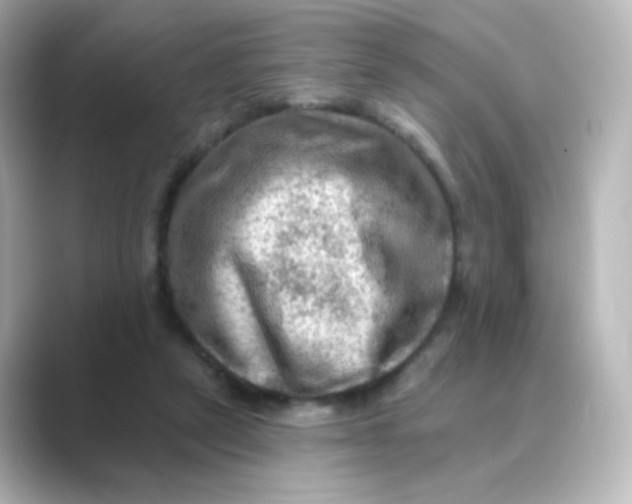 X0000088750257200706212120