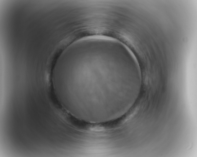 X0000088750258200706212120