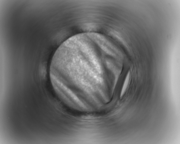 X0000088750259200706212120