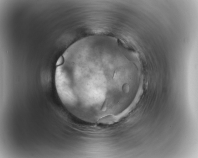 X0000088750260200706212120