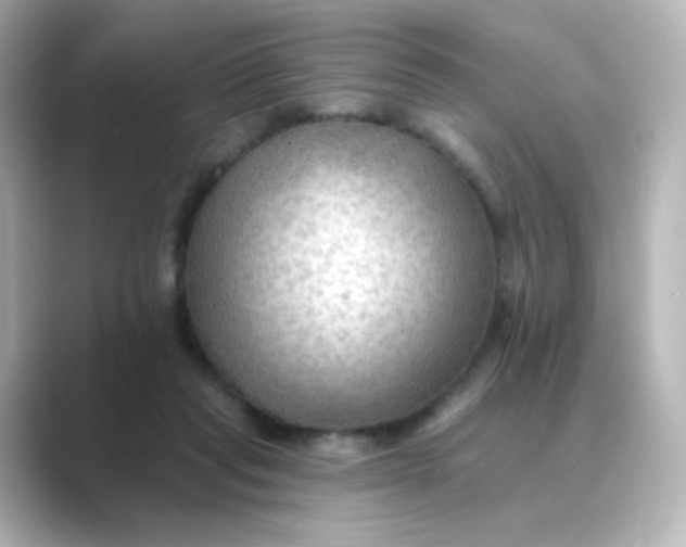 X0000088750261200706212120