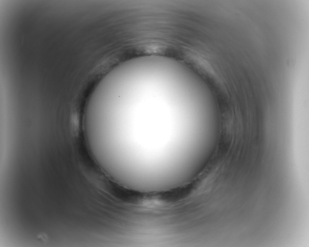 X0000088750262200706212120