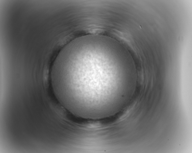 X0000088750263200706212120