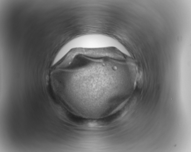 X0000088750264200706212120